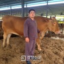 서성목장 이미지