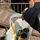 평화로09 | 제주 새별프렌즈 후기 애월 동물체험 생각보다 훨씬 재밌었던 곳 추천