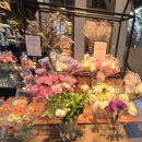 유니스의정원 이미지