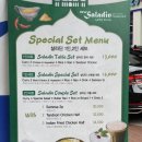 뉴살라딘
