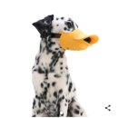 에이치텍 이미지