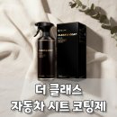 자동차 시트 코팅제, 더클래스 실내 세정제로 세차 후기