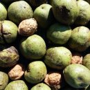 신두리농장 이미지