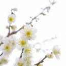 서울새봄안과의원 이미지