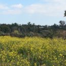 물소낭밧작은집 이미지