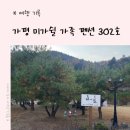 미가쉴