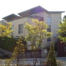 반송동117 이미지