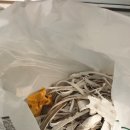 블루시안 이미지