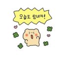 아너스트 (Honest) 이미지