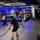 럭셔리복싱클럽 이미지