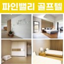 파인밸리 네이버블로그