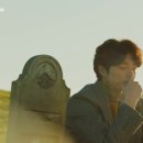 도깨비펫