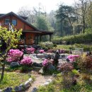 봄의언덕 이미지