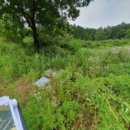 케이비 푸드 이미지