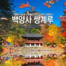 쌍계루로 유명한 장성 백양사 단풍 이미지