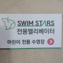 스윔 스타즈 이미지