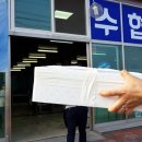 태화세탁소 | 포항여행 3일차 대게 직판장 포항맛집 정리