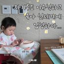 8개월 아기 자기주도 이유식 시작 방법과 궁금증 정리