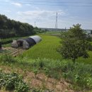 삽교읍041 이미지