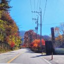 지리산 오도재 힐링캠핑장 이미지