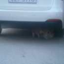 풍년게임랜드 | 어쩌다 살아오면서 여태까지 부산을 6번 가고 아패로도 꺠속 가야만할것 같은 부산 여행기.