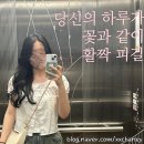 정원의헤어샵 | 신논현역 미용실 헤어샵 "희올헤어" 정원 실장님 그레이스펌 후기