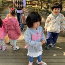 구립 둔촌숲속 어린이집 이미지