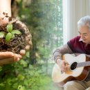 크레이지독스짐 이미지