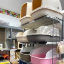 펫클럽강릉내곡점 이미지