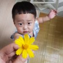 복지로분식 네이버블로그