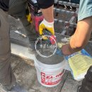 이가종합목재 | 뽀글이가 방수 아르바이트를 가다? 어디?Click♂