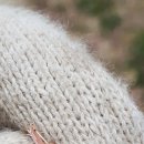 단산농원 이미지