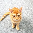 알밤약국 이미지