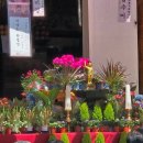 지리산학교스테이 | 남원 실상사 : 지리산 자락에서 만나는 천년 선종 사찰 한국 선불교의 시작을 만나다