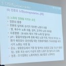 호정화랑 이미지