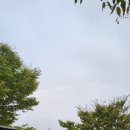 가야랜드 달빛야영장 낙동존 후기/ 달빛 별빛 가득한 도심 속 캠핑