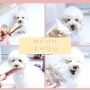 해피아지 네이버블로그