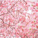 신나는 통기타 이미지