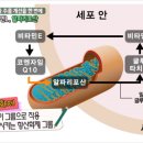 티그린 - 수원시 팔달구 아주로 7 | 티그린