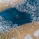 푸른산농장 이미지