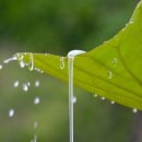 판교일등공인중개사사무소 이미지