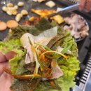 대전 도마동 대패맛집 쌈패 내돈내산후기