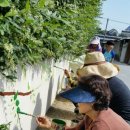 전천회관 이미지