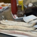 서하민물장어 이미지