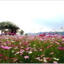 가을걷기코스 이미지