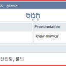 H2555 이미지