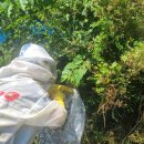 서천소방서-18 이미지