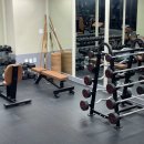 타이거휘트니스 이미지