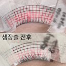 시흥 정왕동 배곧동 속눈썹생장술 잘하는곳 라움래쉬 추천 🌟