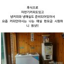 영광정모 15일 점심식사할 장소 이미지